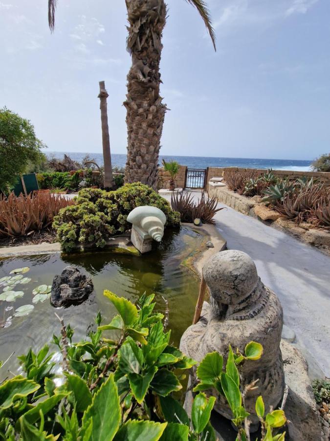 Little Paradise In El Medano 格拉纳迪利亚-德阿沃纳 外观 照片