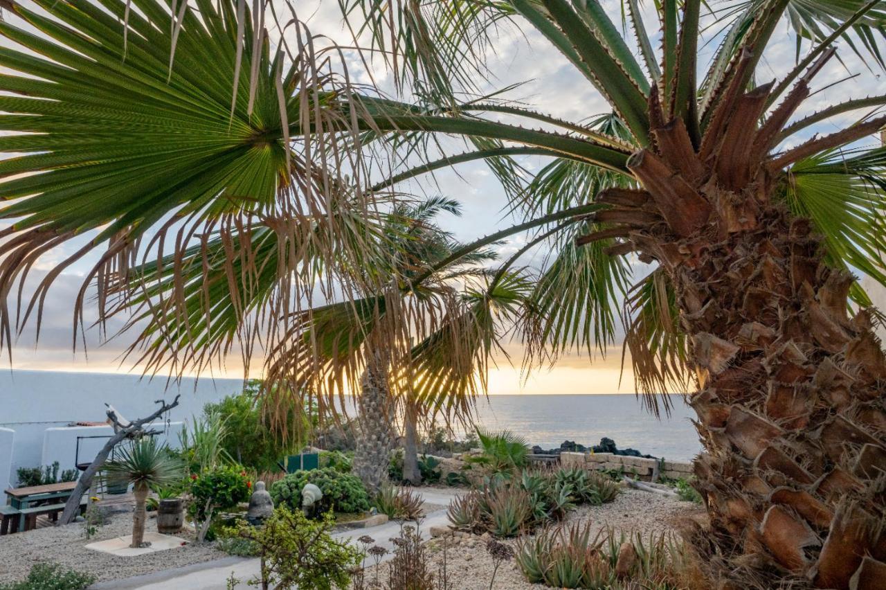Little Paradise In El Medano 格拉纳迪利亚-德阿沃纳 外观 照片